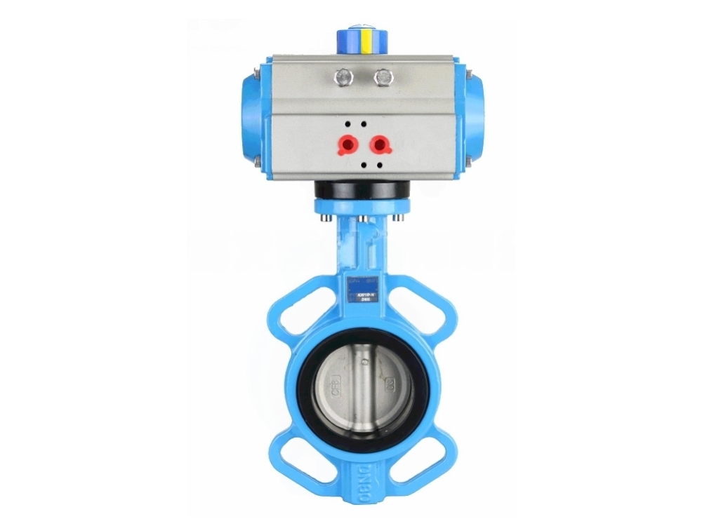 ��ӌ��A���y